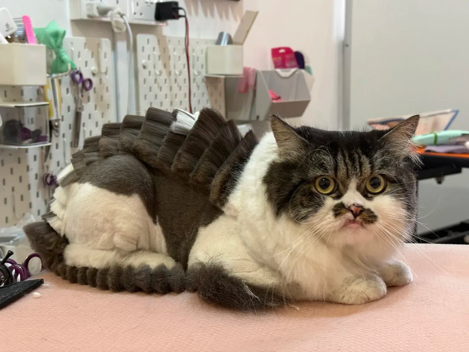Dragon cut