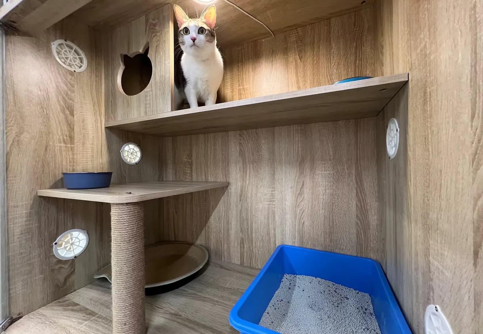 Private Cabin