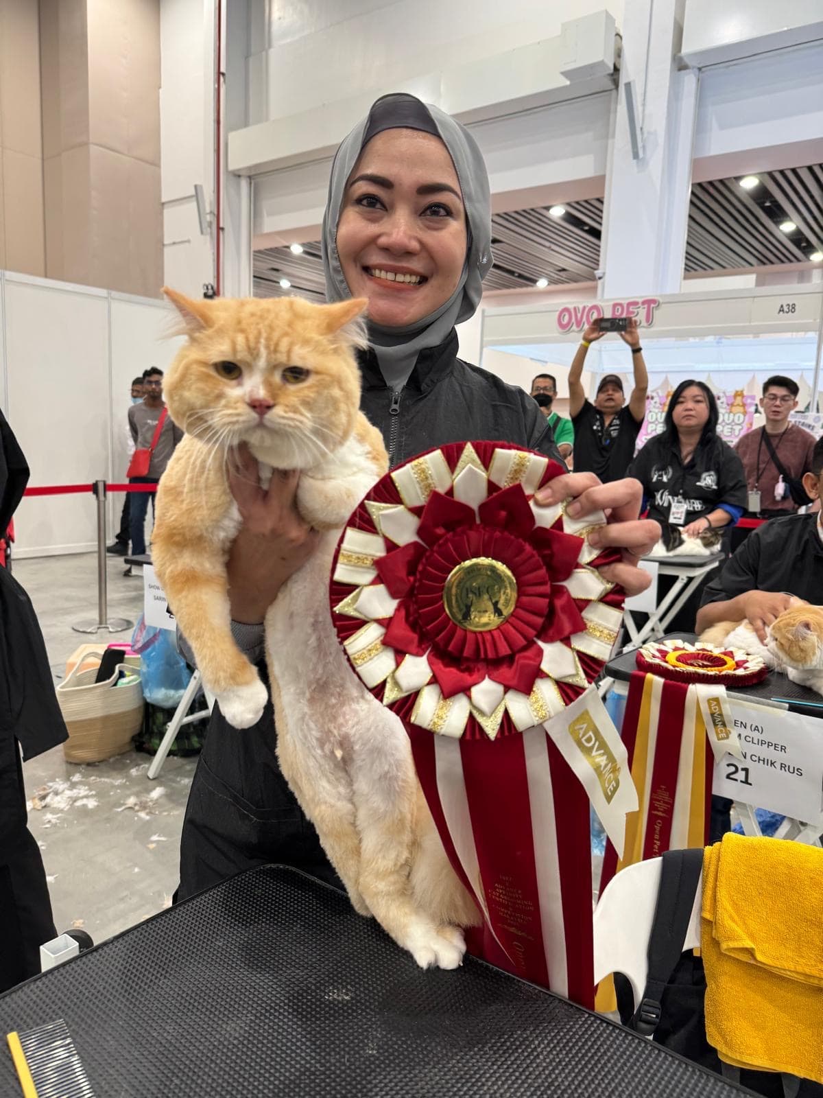 Zee with competition win rosette