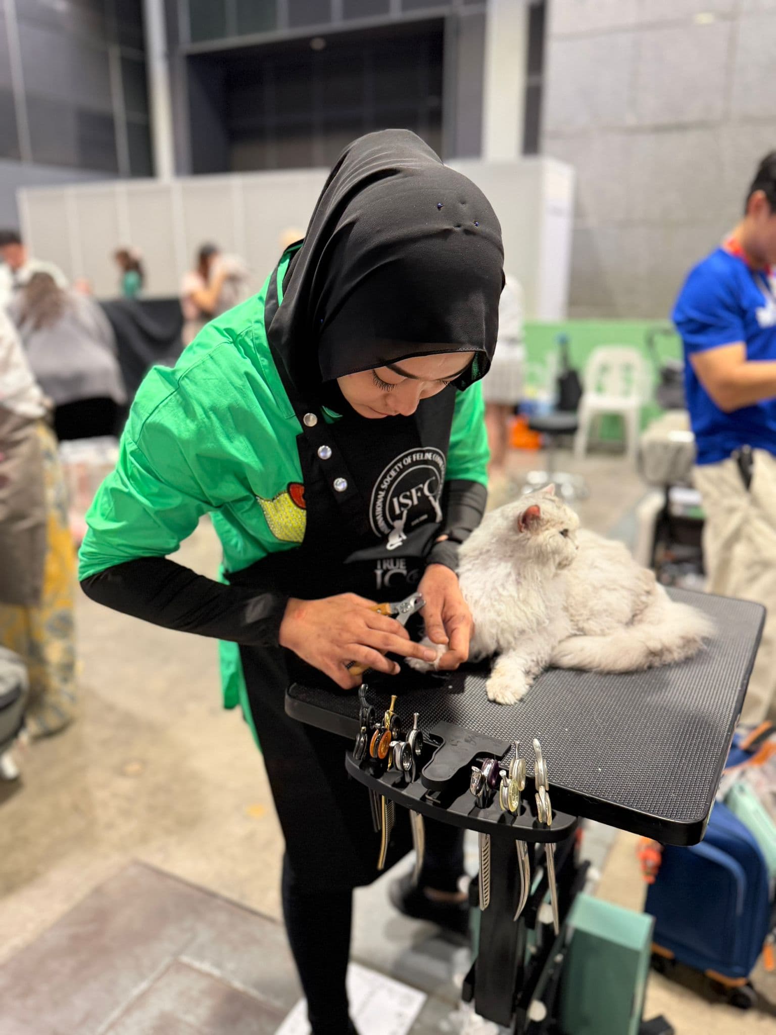 Our cat-first grooming environment