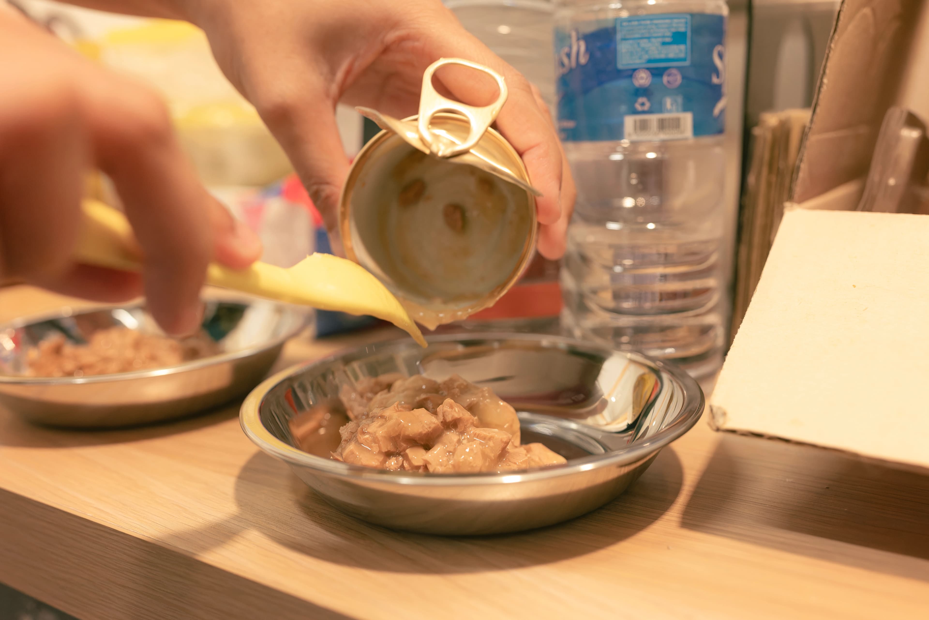 Routine meals