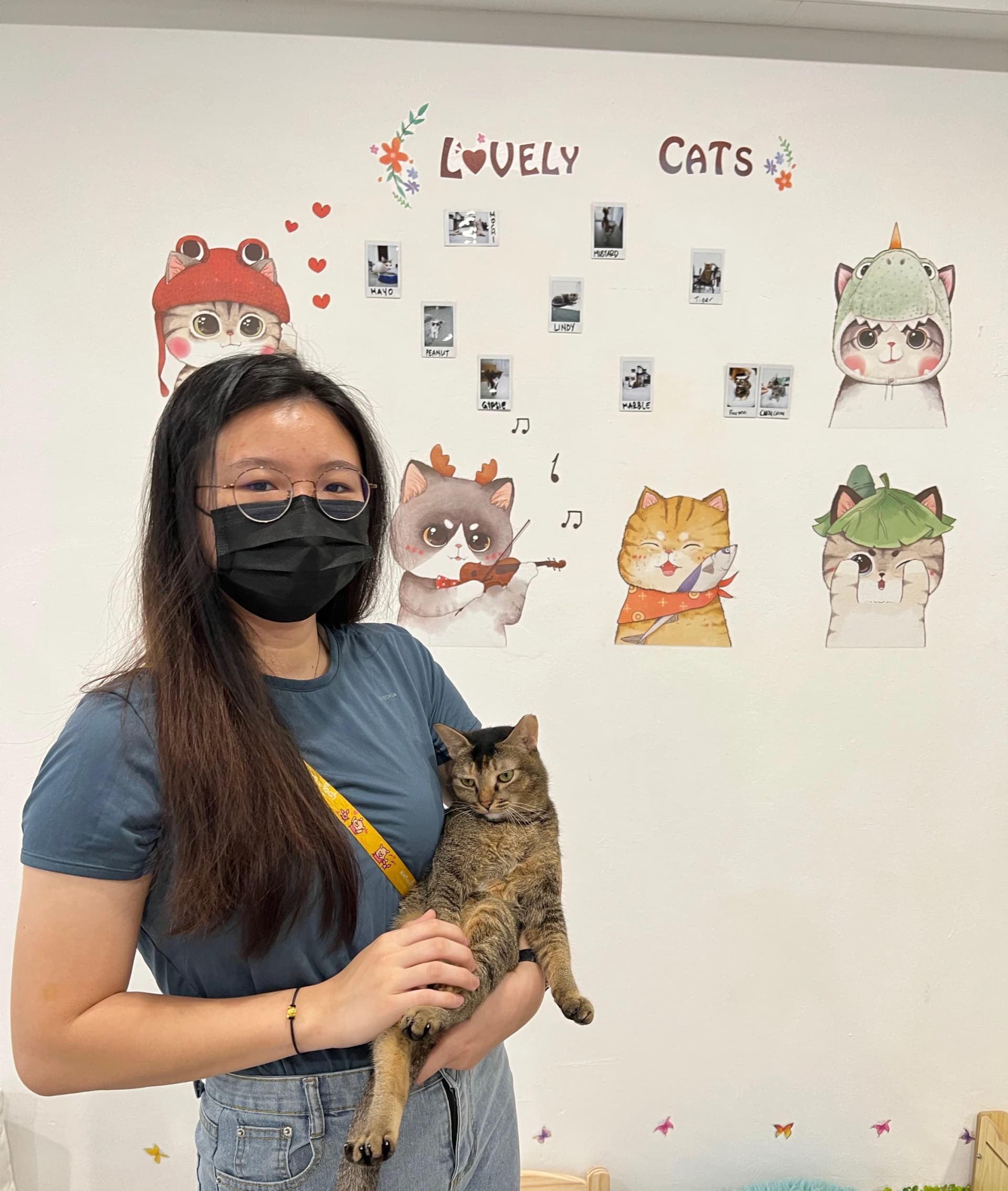 Cat Paradise adoption cafe