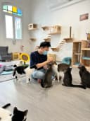 Cat sitter playing with a cat